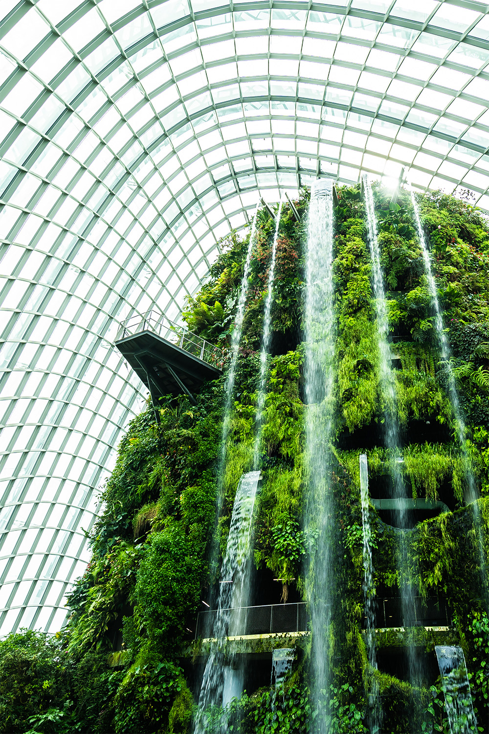 flower dome garden greenhouse